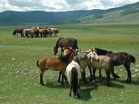 mongolia7